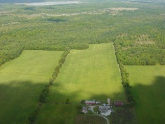 soybean farming at balsam farms