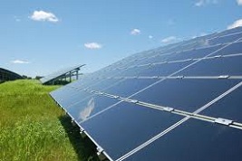 energy farming using solar power at balsam farms